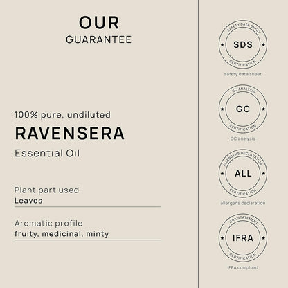 VINEVIDA Ravensara Essential Oil-Gallon Oil Undiluted-Bulk Gallon for Soap Making Safe Skin-DIY Candle Scents Candlemaking Scents-8 lbs (32GALV-OBP-RVN-SRA-GAL)