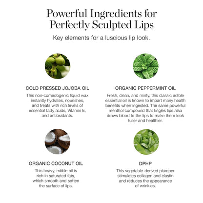 Ogee Tinted Sculpted Lip Oil - Lip Stain Made with 100% Organic Coconut Oil, Jojoba Oil, and Vitamin E - Best as Lip Balm, Lip Color or Lip Treatment - PETUNIA (Sheer Blush)