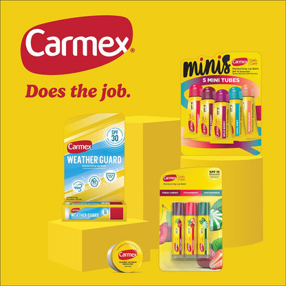 Carmex Daily Care and Daily Care Minis Moisturizing Lip Balm Pack, SPF 15, Multi-Flavor Lip Care Variety Pack Bag, 8 Count (3 Sticks, 5 Mini Tubes)