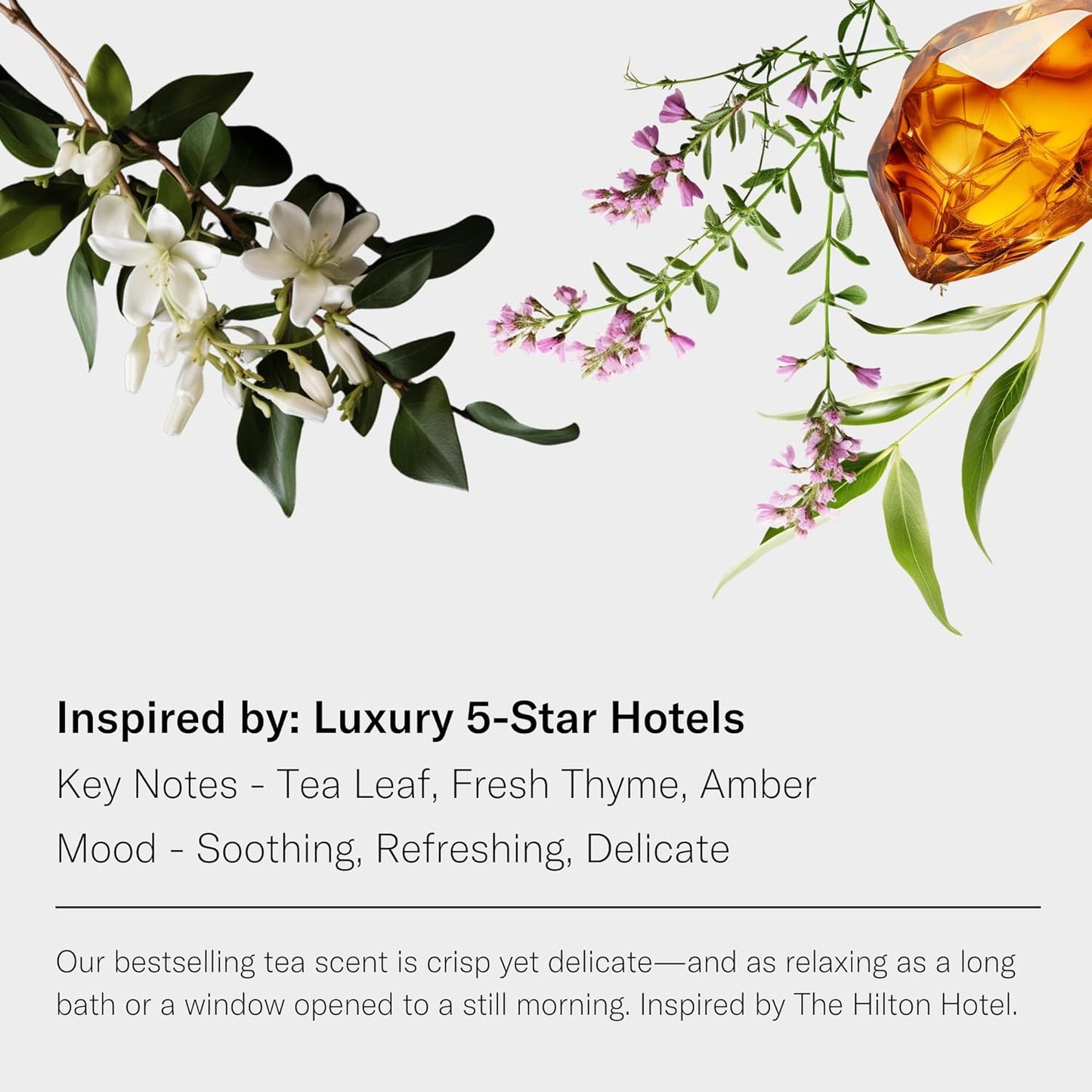 AromaTech White Tea and Thyme Aroma Essential Oil Blend: Luxury Hotel Inspired Aromatherapy with Tea Leaf, Fresh Thyme & Amber for Ultrasonic Diffusers & Nebulizers - 4 fl oz, 120 ml