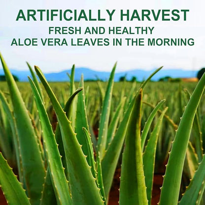 Organic Aloe Vera Gel 17oz