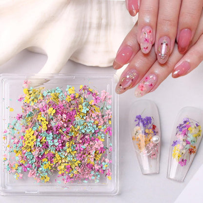 1 Box of Dried Flower Nail Stickers, Colored Dried Flower Nail Stickers, mini Real Flowers, Natural Flowers, 3D Baby's Breath Floral Art, Ladies and Girls DIY Nail Art Decoration