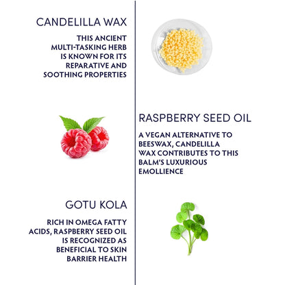 Naturopathica Gotu Kola Intense Repair Balm, Daily Facial Moisturizer for Skin Barrier Repair, Hydrating Face Cream to Help Reduce Redness, 2.8 oz