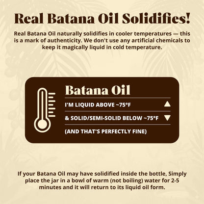 Batana Oil for Hair Growth – 100% Pure & Organic Botana Oil from Honduras – Strengthens, Thickens & Restores Natural Hair – Cold Pressed Raw Scalp & Hair Treatment for Men & Women – 60ml
