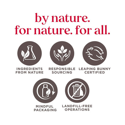 Burt's Bees Gifts Ideas - Grooming Essentials Kit, 4 Products for Men - Cooling Face Wash, Shave Cream, Soothing Moisturizer After Shave & Original Beeswax Lip Balm