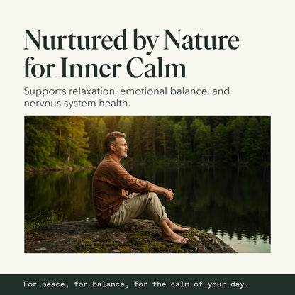 Reishi Mushroom Extract Drops Fantastic Fungi Chill Elixir, 4-in-1 Mood Support Supplement w/ Holy Basil & Shiitake Mushrooms for Relaxation & Calm | 100% Organic & Natural | 30 Servings, 1 fl oz