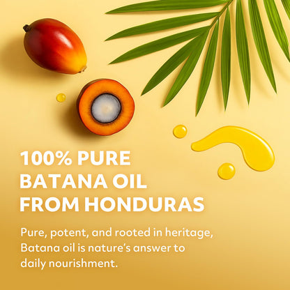 AAA (African Anti-Aging) 100% Natural Honduras Batana Oil – Supports Hair Growth, Repairs Damaged Hair, Moisturizes Dry Scalp & Skin – Made in USA 1.7 fl oz – For All Hair&Skin Types
