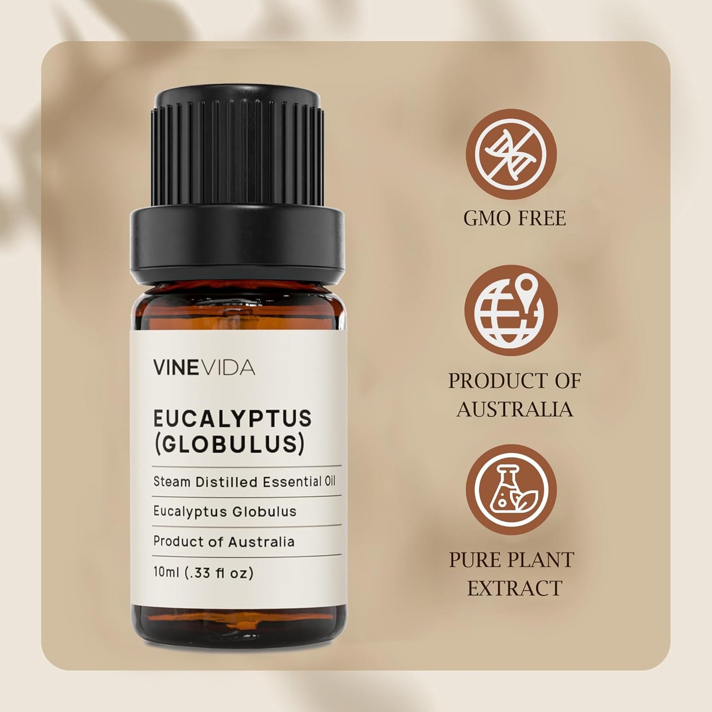 VINEVIDA Eucalyptus Essential Oil - 10 mL Undiluted - DIY Candle Scents - Safe for Skin