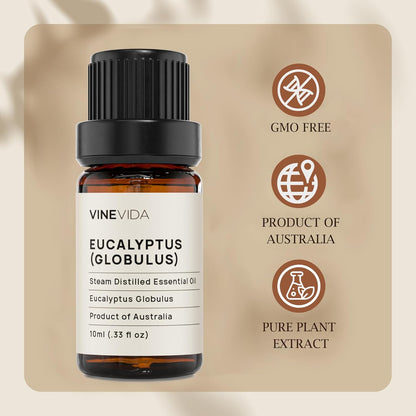 VINEVIDA Eucalyptus Essential Oil - 10 mL Undiluted - DIY Candle Scents - Safe for Skin
