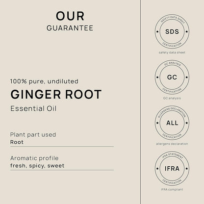 VINEVIDA Fresh Ginger Root Essential Oil 16 oz - Undiluted Ginger Root Oil 16 oz - Ginger Root Candle Oil Scent - DIY Candle Scents for Candlemaking - Bulk Essential Oil for Soap Making Safe for Skin