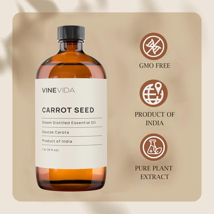 VINEVIDA Carrot Seed Essential Oil 16 oz - Undiluted for Candlemaking and Soap Making - DIY Candle Scents - Bulk Oil Safe for Skin