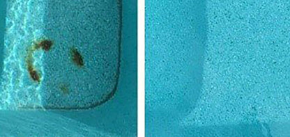 ATIE Pool Pumice Stone with EZ-Clip Handle to Reomve Erase Rust Stain Spot in Concrete Plaster Pool Spa and Calcium Deposit on Pool Tile (2 Pack)
