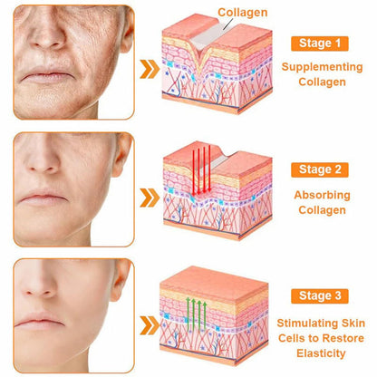 LipMaps Bee Venom skin Restoration Cream,Bee Venom Skin Treatment Cream,Deeply Moisturizing and Firming for All skin Types(3PCS)