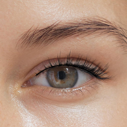 Natural Lashes Wispy Eyelashes Natural Look Short Lashes Pack 12mm Eyelashes C Curl False Lashes Thinner Band 3D Volume Fake Eyelashes 7 Pair Siligli