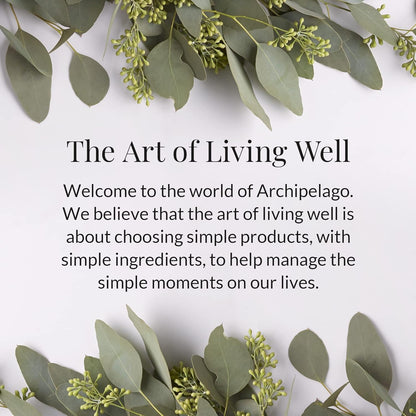 Archipelago Botanicals Black Honey Lotion, Hydrating Body Lotion for Dry Skin, Nourished and Healthy Skin Care, Paraben-Free, Phthalate-Free, 18 oz