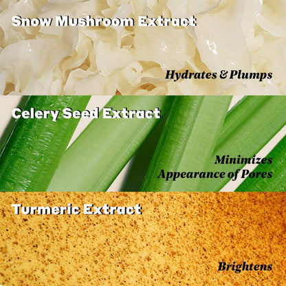 Volition Beauty Dewy Skin Kit Bundle with Celery Green Cream, Snow Mushroom Water Serum, Turmeric Brightening Polish | Age-Defies, Minimizes Pores & Brightens | Vegan, Paraben-Free & Cruelty-Free