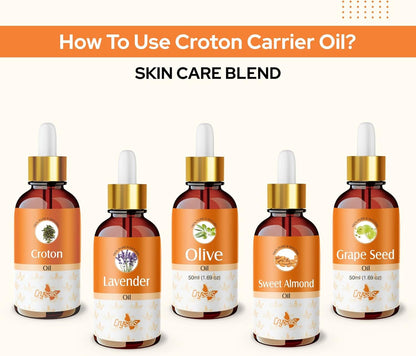 Crysalis Croton (Codiaeum Variegatum) Oil - 1.01 Fl Oz (30ml)