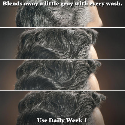 Just for Men Control GX Grey Reducing Shampoo, Gradual Hair Color with Keratin for Stronger Thicker and Healthier Looking Hair, 4 Fl Oz - Pack of 3 (Packaging May Vary)