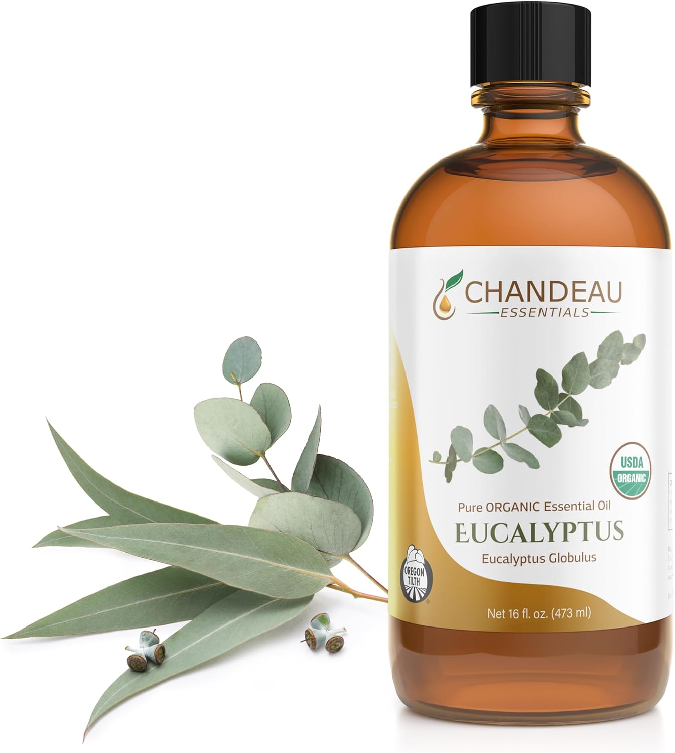 100% Pure Organic Essential Oil, Pure Eucalyptus Essential Oil for Aromatherapy, Soap Making, Candles, Laundry, Perfume, Cleaners or Diffusers - Large Amber Glass Bottle, 16 oz.