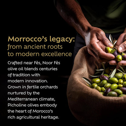 NOOR FÈS USDA Organic | 20+ Awards 584 mg/kg Polyphenol Rich | Premium Extra Virgin Olive Oil | Moroccan Cold Pressed EVOO | Less than 0.15% Acidity | Handpicked Picholine Olives | Pack of 2