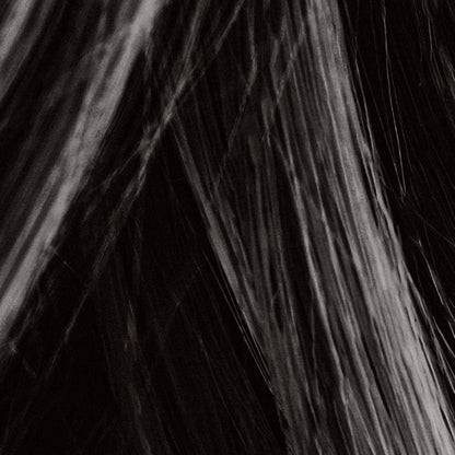 Hair Thickening Fiber Spray by Mane (100 ml, Black)