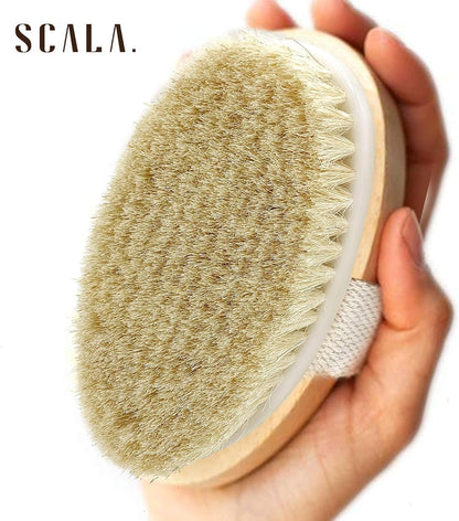 Dry Brushing Body Brush SCALA Natural Bristle Body Brush, Soft Body Exfoliating Brush Scrub for Dead Skin, Cellulite, Lymphatic Drainage, Blood Flow – Thicker & Stronger Medium Strength