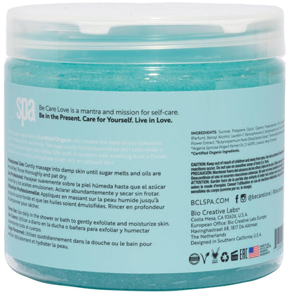 BCL Spa Critical Repair organic sugar scrub with Arnica and Aloe Vera, Hydrating & Exfoliating Body Scrub, Soothing & Nourishing organic botanical extracts & oils for hands, body, and foot spa, 16 oz