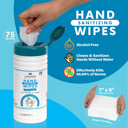1 Pack Hand Sanitizing Wipes, Alcohol Free 75 Count Canister Disposable Hand Sanitizer Wipes, Fresh Scent, Lint Free & Durable