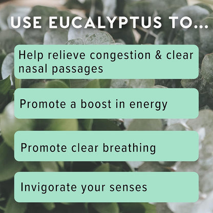 MOXĒ Eucalyptus Essential Oil Nasal Inhaler, Sinus & Congestion Relief, Daily Relaxation, Stress Relief, Therapeutic No-Mess Aromatherapy, Pure and Natural, Made in USA (3 Pack) packaging may vary