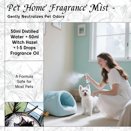 HIQILI Blueberry Fragrance Oil for Candle & Soap Making, Fruity Scents for Reed Diffuser Oil Refill, Add to Lotion, Body Wash - 1 Fl Oz