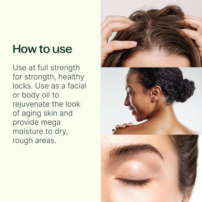 Plant Therapy Organic Argan Oil 16 oz Carrier for Skin and Hair Supports Moisturization Anti Aging and Nails Cold Pressed Pure USDA Certified