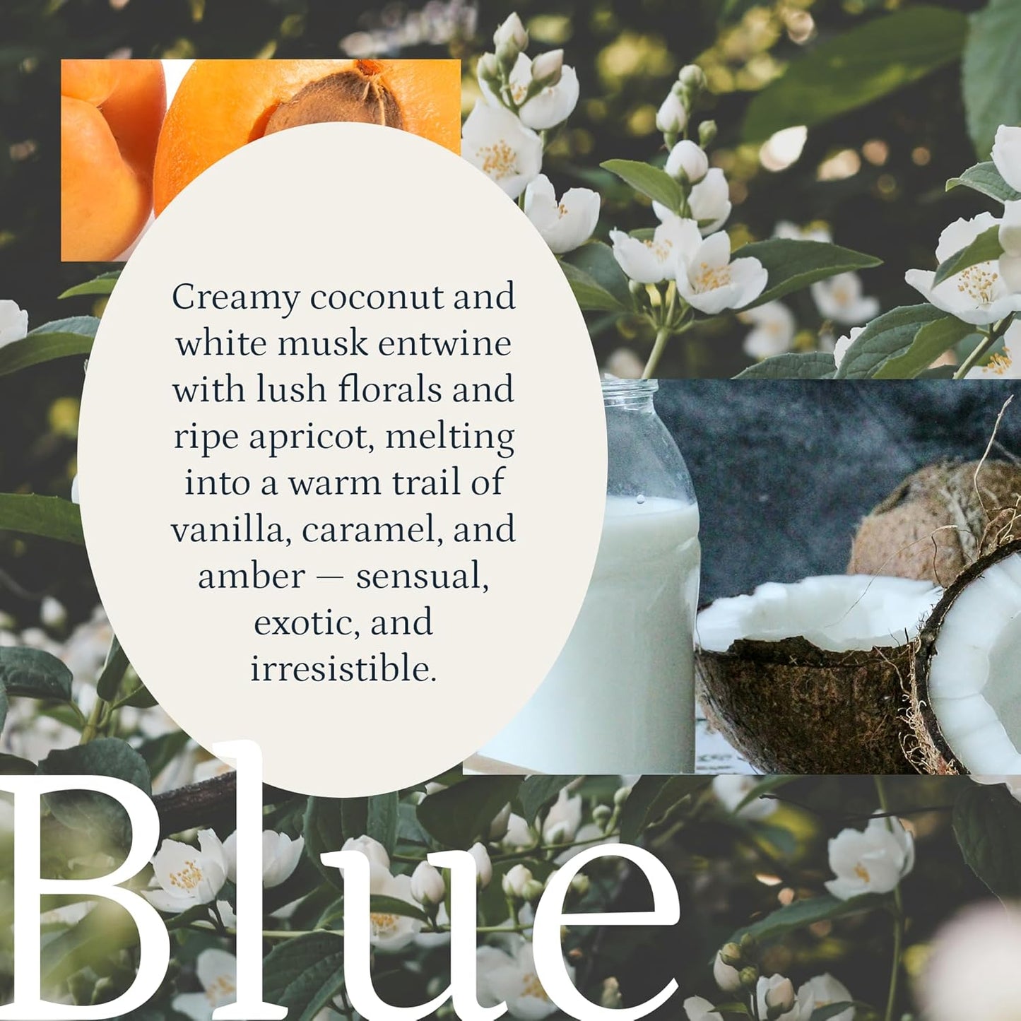 PuroSentido Blue Aroma Oil (10 ml) - Luxury Essential & Fragrance Oil for Diffusers and Humidifiers, Apricot, Coconut Milk & Vanilla Home & Hotel Scent