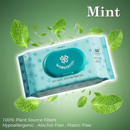 WONDERFUL Flushable Wipes, Mint 100% Plant-Based Wet Butt Wipe for Adults & Kids, Sewer Septic Safe, Gentle for Sensitive Skin, Wipes Flushable Pack for Bathroom & Travel, 6-Pack (360 Counts)