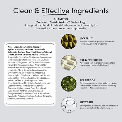 Jupiter Hydrating Shampoo, Conditioner, and Scalp Moisturizer Set – Moisturizing, Nourishing, and Strengthening Hair Care – Daily Scalp & Hair Hydration – Color-Safe, Sulfate-Free, Paraben-Free