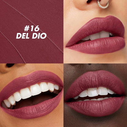 FOCALLURE Ultra Chic Matte Lipstick,Rich Vitamin E Lip Crayon,Lightweight Matte Color without Drying or Fading,Long Lasting Waterproof Lips Makeup,DEL RIO