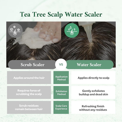 Tea Tree Scalp Water Scaler | Exfoliator for Itchy Dry Flaky Scalp, Buildup Remover, Treatment for Excess Sebum Oily Greasy Hair | Korean Hair Care Products, Refill 16.9 fl oz