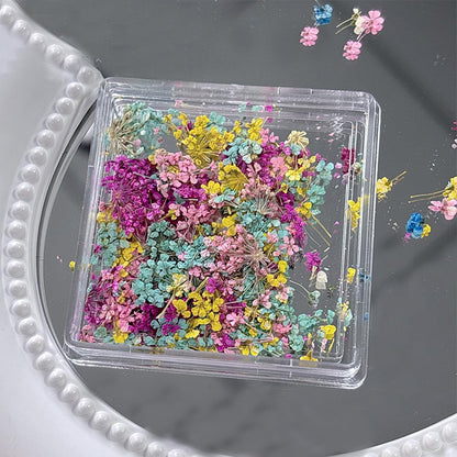 1 Box of Dried Flower Nail Stickers, Colored Dried Flower Nail Stickers, mini Real Flowers, Natural Flowers, 3D Baby's Breath Floral Art, Ladies and Girls DIY Nail Art Decoration