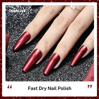 16.5ml Red Glitter Nail Polish Large Volume Quick Dry Nail Polish, Long Lasting Shine, Fingernail Toenail Nail Art DIY Home Travel Nail Art Gift