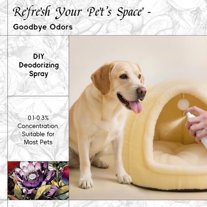 HIQILI Water Lily Papyrus Fragrance Oil for DIY Soap, Inspired by ISY-Myake L.d'Isy, Perfume, Candle Making, Fresh Scents for Laundry Dryer Balls, Gifts- 1 Fl Oz