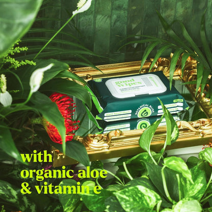 goodwipes Flushable Butt Wipes - Vitamin E & Aloe - Sewer & Septic Safe - Extra Large Adult Wet Wipes For Women & Men - Bathroom Essentials - Botanical Bliss, 318 Count (6 Packs + 1 Travel)