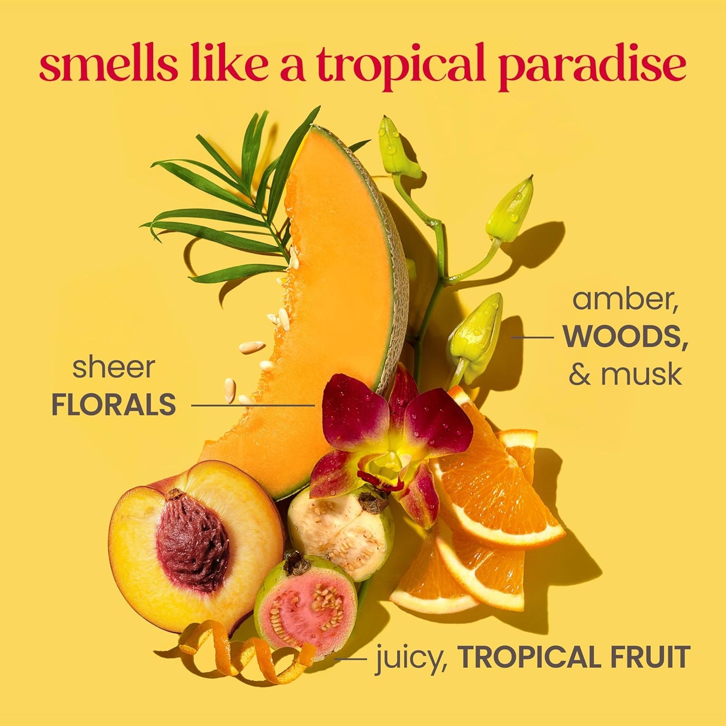 Burt's Bees Boosted Body Moisturizing Melt With a Ceramide, Niacinamide and Peptide Complex, Intense Skin Hydration, Cream-to-Oil Body Lotion Helps Support Skin Barrier, Tropical Scented, 4 oz. Tube