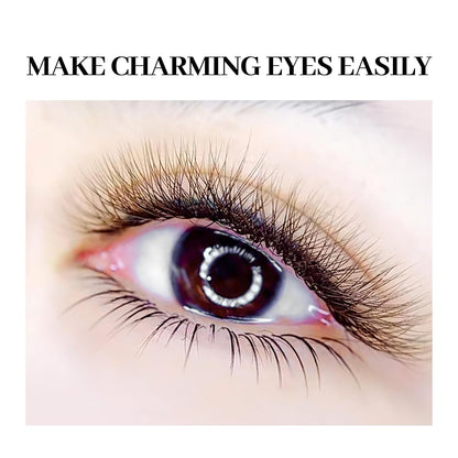 Lash Extensions Brown 4D W Eyelash Extensions W Shape 0.07mm Thickness C Curl 14mm Premade Fans Lashes Colored Lash Extension Volume Lashes Individual Lashes(W-Brown-4D-0.07-C,14mm)