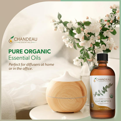 100% Pure Organic Essential Oil, Pure Eucalyptus Essential Oil for Aromatherapy, Soap Making, Candles, Laundry, Perfume, Cleaners or Diffusers - Large Amber Glass Bottle, 16 oz.