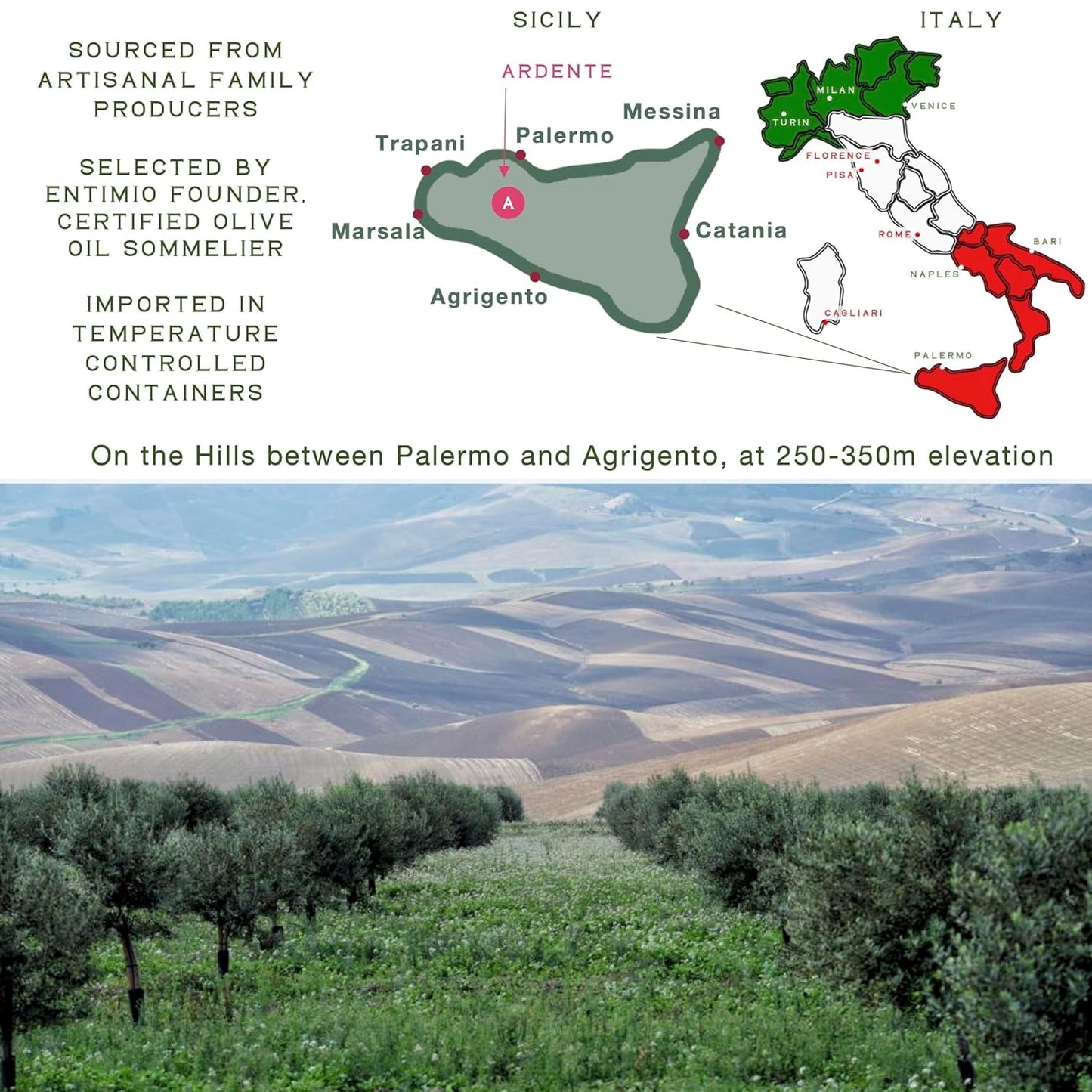 Entimio Ardente +600 mg/kg Polyphenol Rich Organic Extra Virgin Olive Oil, New 2024-2025 Early Harvest Italian Olive Oil from Sicily, Italy, 2025 Gold Winner, Cold Extracted, Lab Tested - 16.9 fl oz