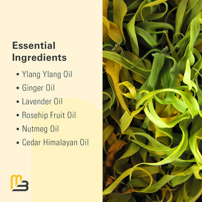 Ylang Ylang + Ginger Lymphatic Drainage Massage Oil – with Collagen & Stem Cells for Circulation, Detox & Cellulite Removal – Body Oil for Muscle Relief, Skin Firming & Relaxation – 8oz by M3 Naturals