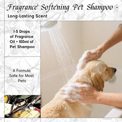 HIQILI Cologne Ocean Fragrance Oil for Making Candle, Bath Bombs, Home Diffuser, Long-Lasting Scents for Hair & Body - 1 Fl Oz