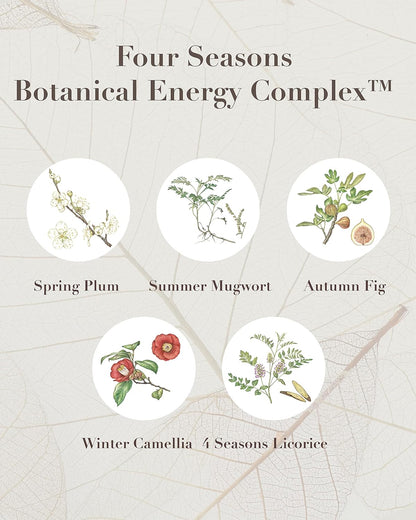 Sooryehan SAGA OF SOO BOTANICAL ENERGY AGE DELAY CREAM GIFT SET (150 ml / 5.07 Fl Oz) - Korean Skin Care by LG BEAUTY. Botanical Energy Cream, Boosting Toner, Balancing Moisturizer, Foam Cleanser.