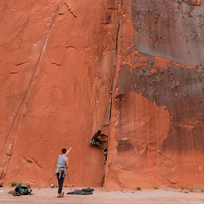 Badger Foot Balm, 100% Organic Foot Cream for Dry Cracked Heels and Feet, Fast Acting Foot Care for Women & Men, All-Natural Cracked Heel Treatment, 2 oz Tin