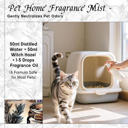 HIQILI White Sandalwood Fragrance Oil for Making Candle, Scented Home Decor, Room Spray, Skin & Body, Essential Oil Diffuser - 1 Fl Oz