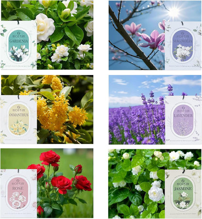 12 Packs Fragrance Bags with Hanging Strings, Air Freshener Deodorizer for Closet and Drawer,6 Scents Option- Lavender,Magnolia,Jasmine,Rose,Osmanthus,Gardenia (Magnolia)
